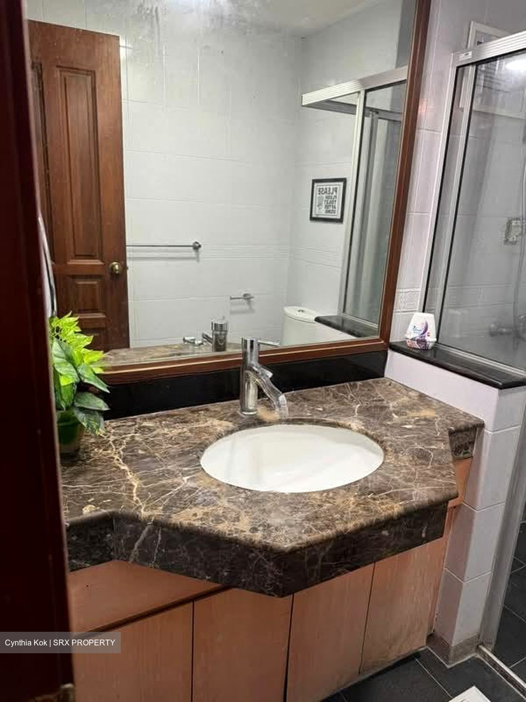 Carissa Park Condominium (D17), Condominium #559395191